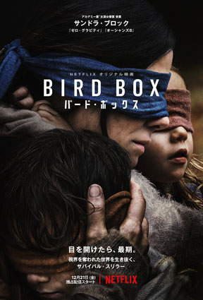 birdbox.jpg